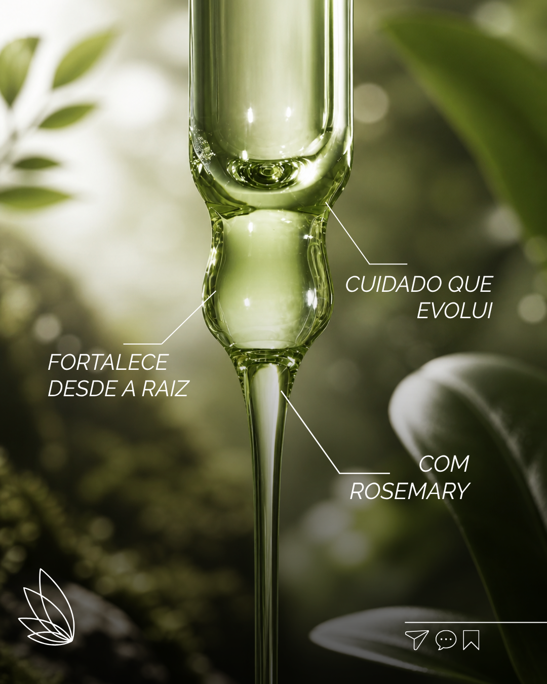 Cuidado que evolui — fortalece desde a raiz, com rosemary